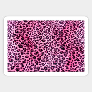 Black and Pink Leopard Spots Pattern Sticker